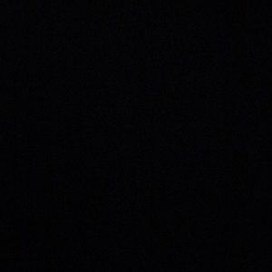 Meet your Posher, Bill